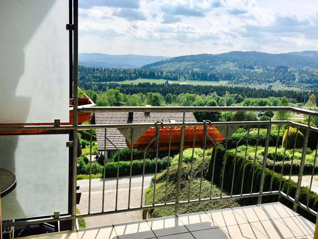 Pension Klein Und Ferienwohnungen (Adults Only) Bodenmais Kültér fotó