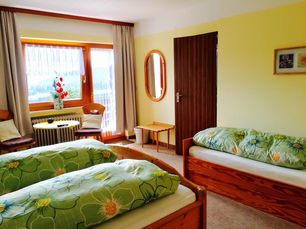 Pension Klein Und Ferienwohnungen (Adults Only) Bodenmais Kültér fotó