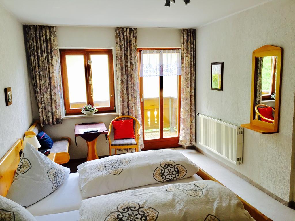 Pension Klein Und Ferienwohnungen (Adults Only) Bodenmais Kültér fotó